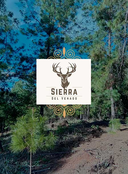 Desarrollo Sierra del Venado tapalpa