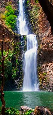 Desarrollo Sierra del Venado Tapalpa